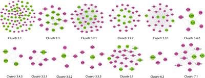 An Integrative Network Approach to Identify Common Genes for the Therapeutics in Tuberculosis and Its Overlapping Non-Communicable Diseases